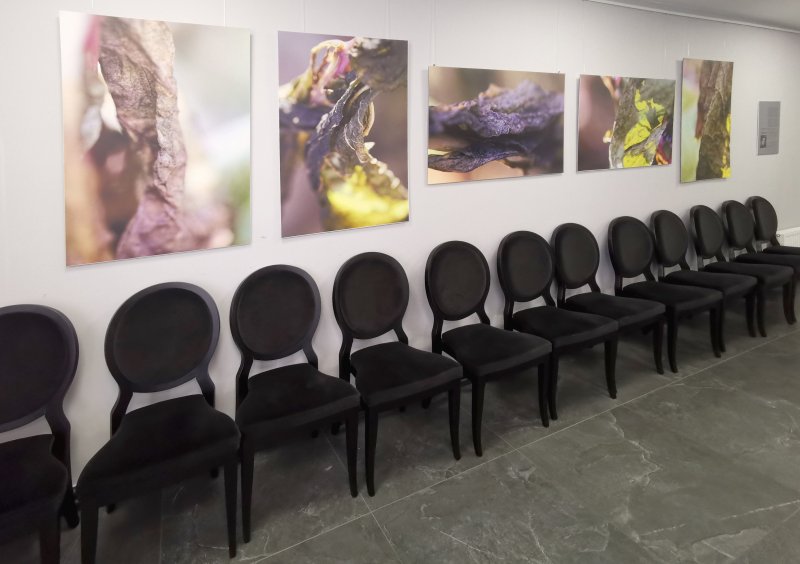 Nykstančios materijos grožis: paroda (V)IRSMAS Valstybinio Šiaulių dramos teatro fojė